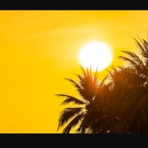 Meet your Posher, Seema